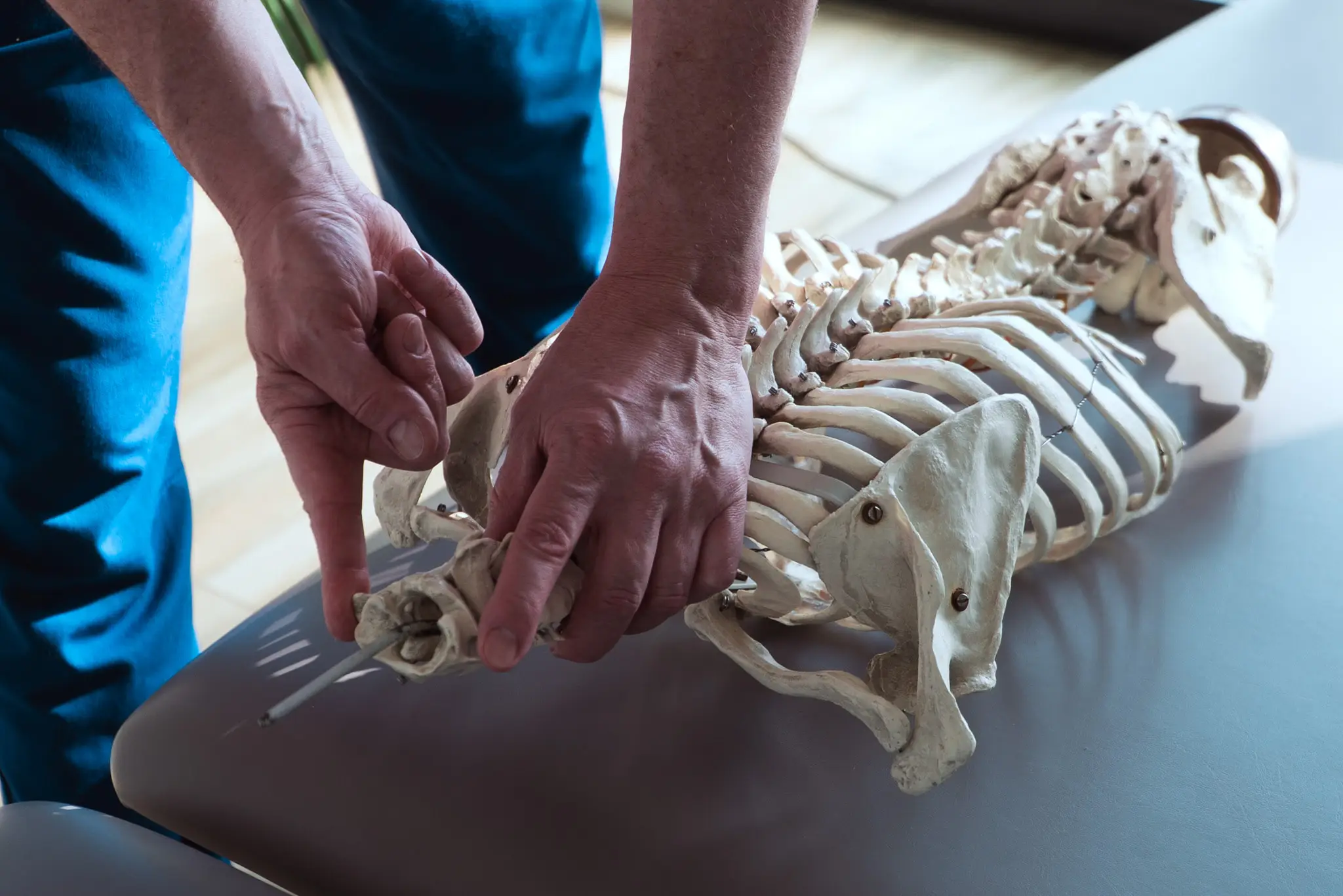 Terapia manualna – osteopatia